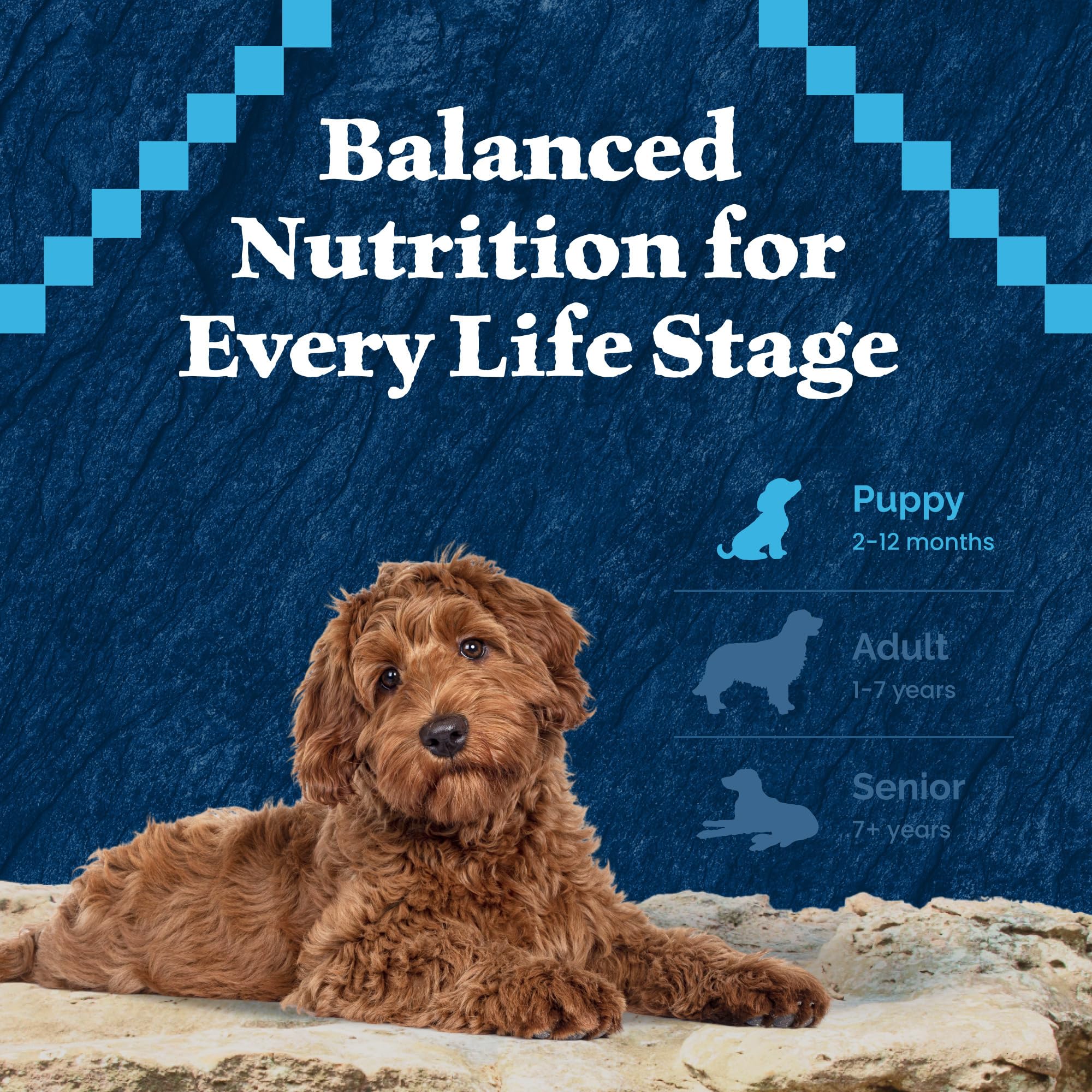 Blue Buffalo Wilderness: bolsa de 4.5 libras para cachorro.