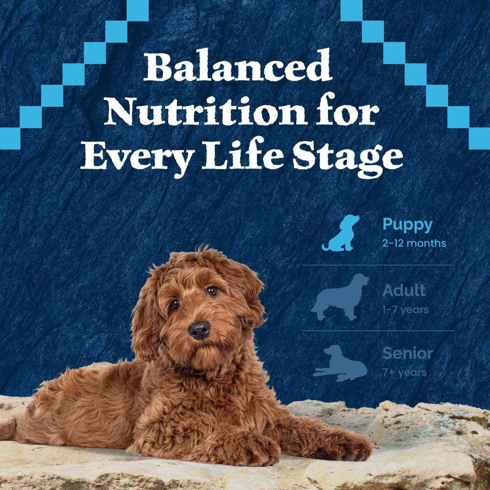 Blue Buffalo Wilderness: bolsa de 4.5 libras para cachorro.