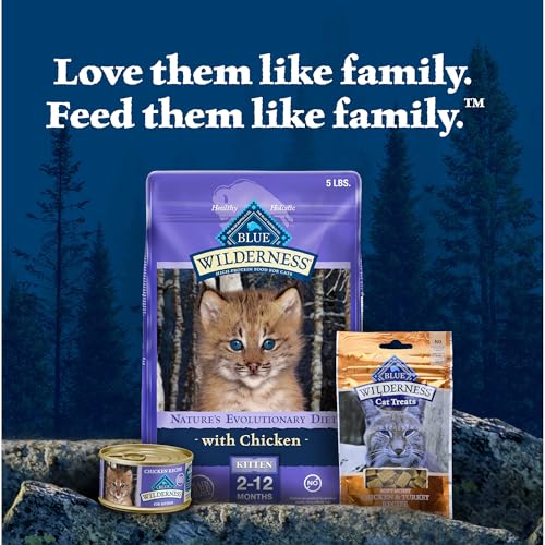 Blue Buffalo Wilderness Gatito, recetas variadas de pollo y salmón para gatitos curiosos.