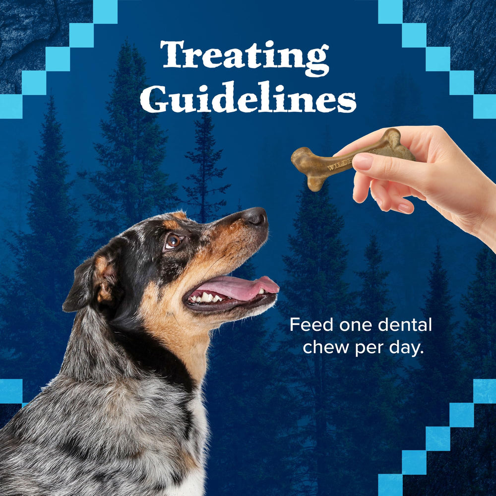 Blue Buffalo Wilderness Huesos Mini Dental, recompensa sabrosa para masticar y jugar.