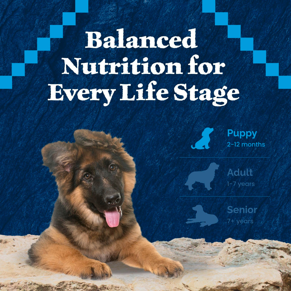 Blue Buffalo Wilderness nutrición equilibrada para cachorros activos y curiosos