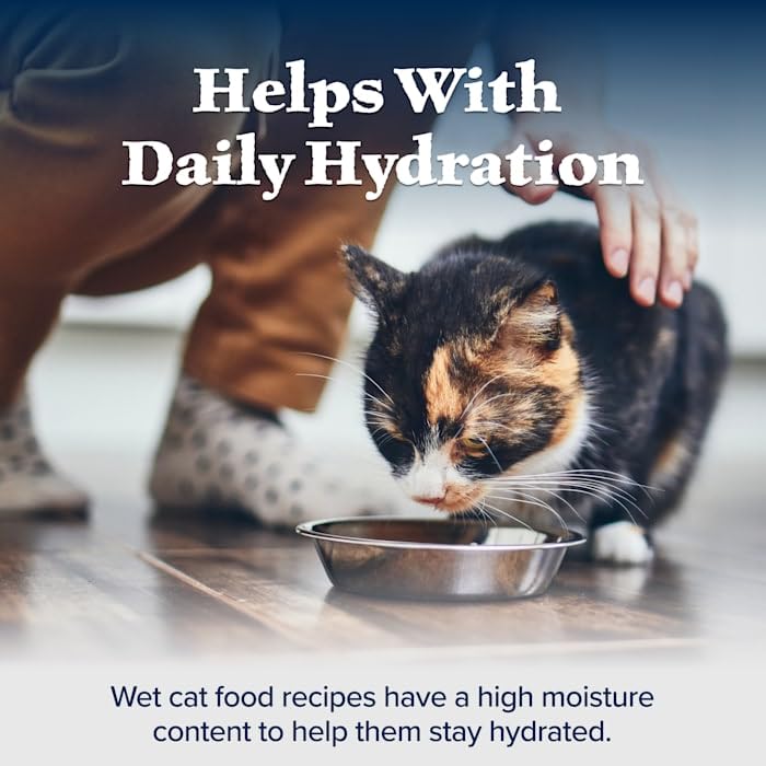 Blue Buffalo Wilderness paté salmón en lata, proteína para gatos activos.