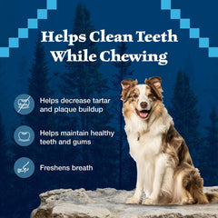 Blue Buffalo Wilderness perro disfrutando el hueso dental