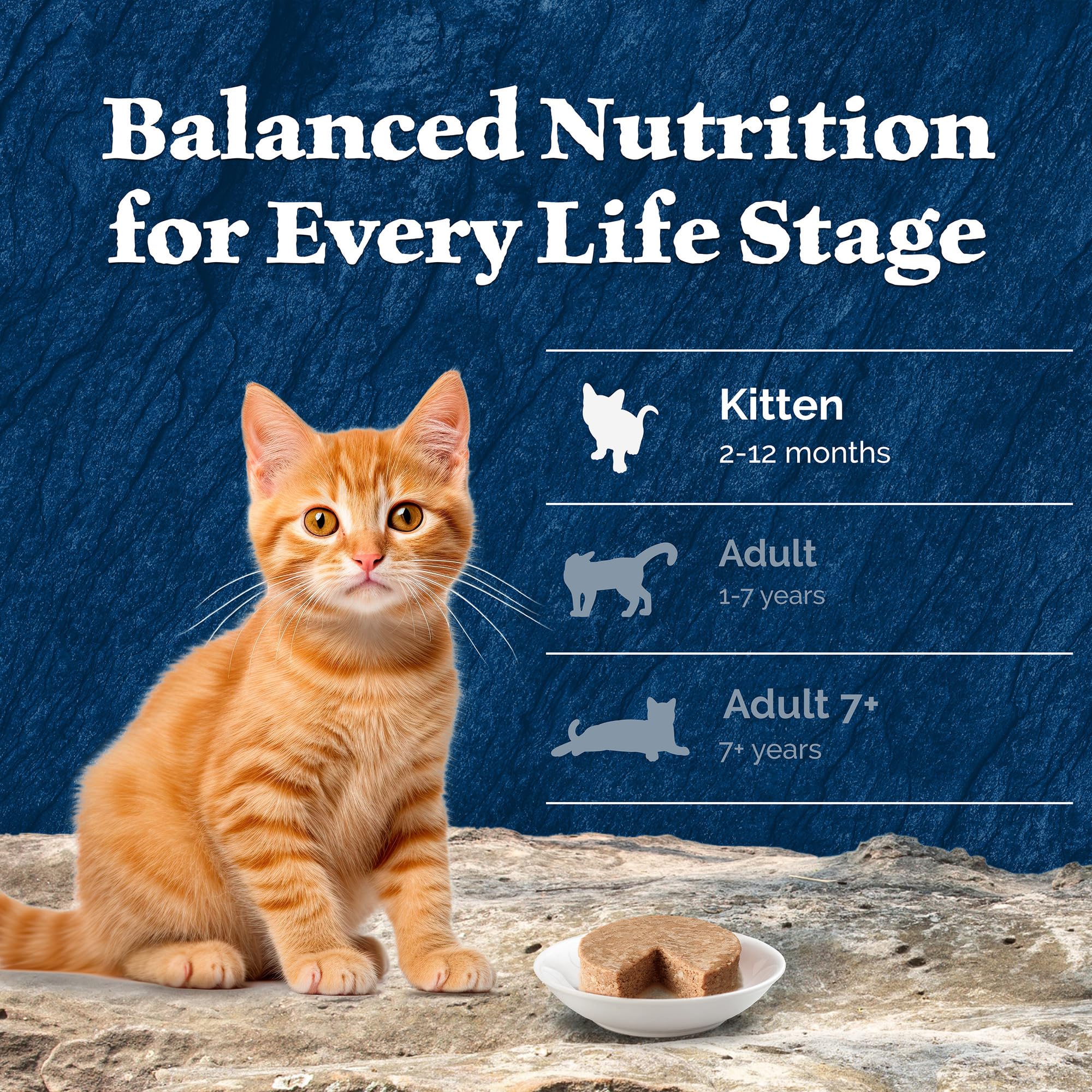 Blue Buffalo Wilderness porciones con proteina alta para gatitos activos