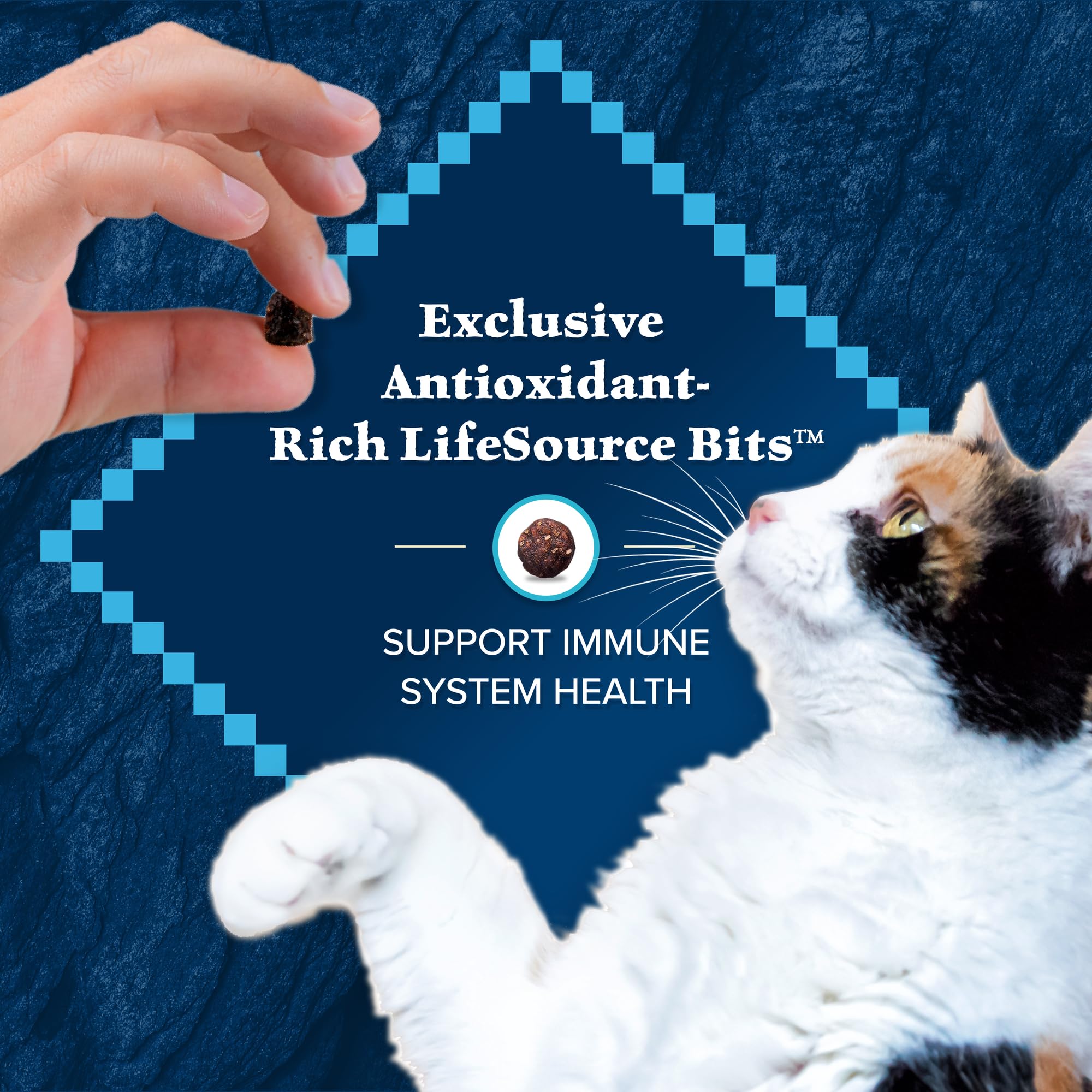 Blue Buffalo Wilderness proteína alta para gatos adultos