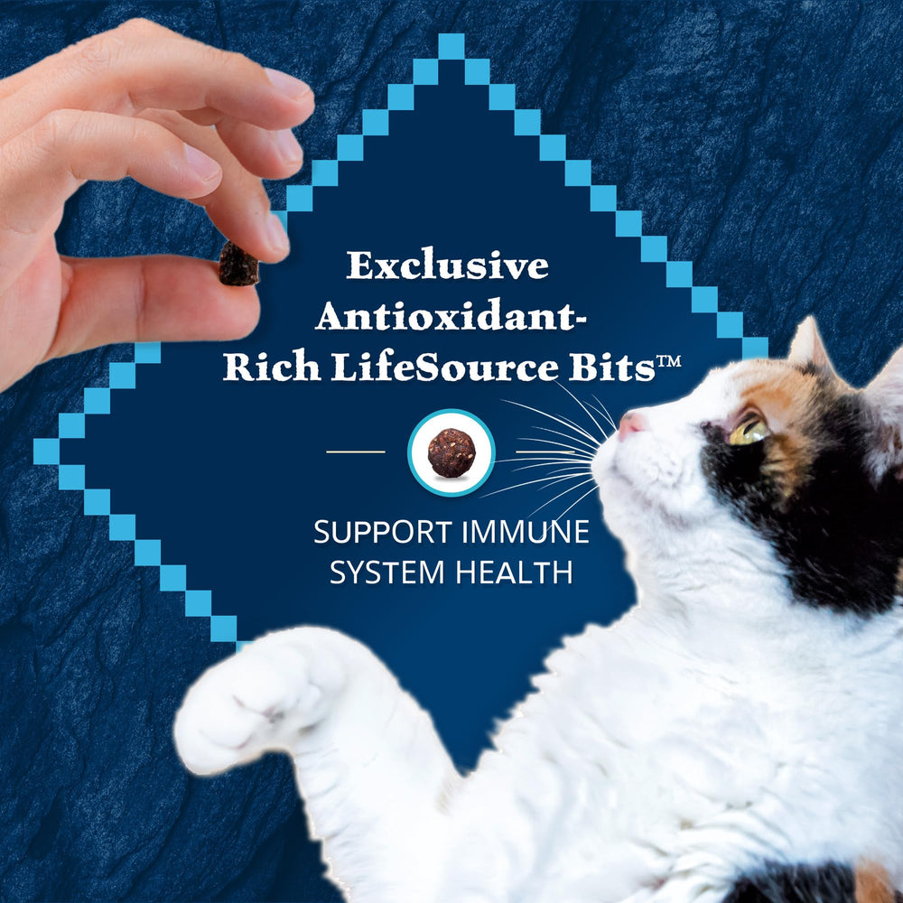 Blue Buffalo Wilderness Rocky Mountain ingredientes naturales para nutrición equilibrada