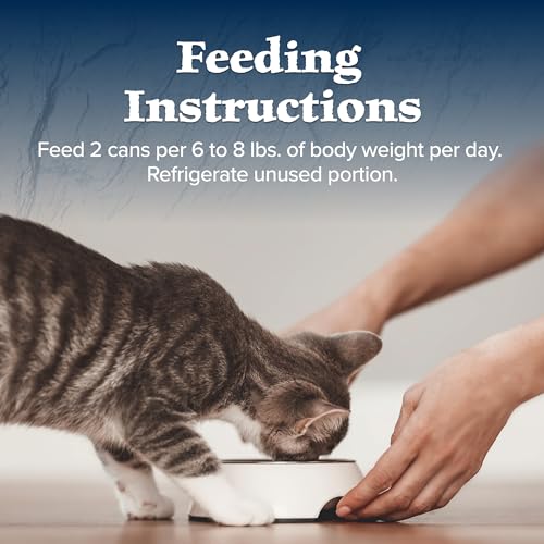 Energía para gatos activos gracias al salmón en Blue Wilderness