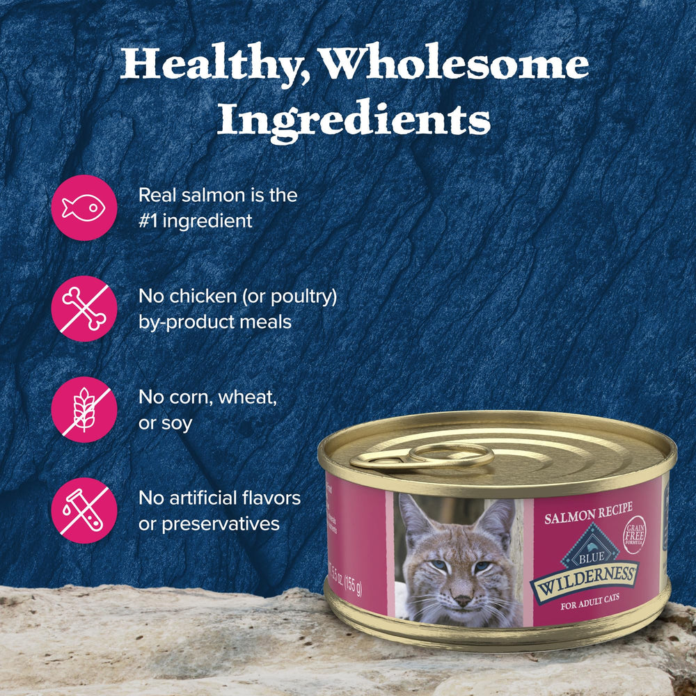 Pack de 24 latas de Blue Wilderness salmón paté