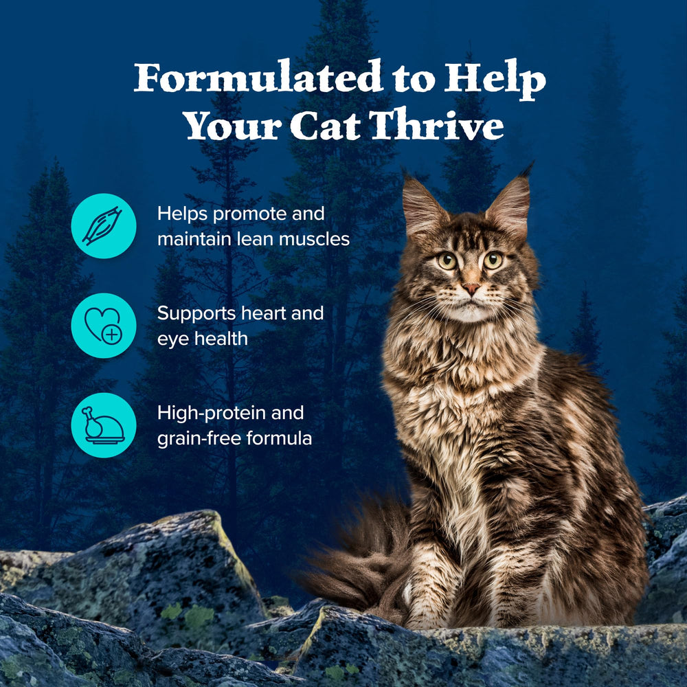 Blue Buffalo Wilderness sin maíz trigo soja, dieta más limpia para gatos activos