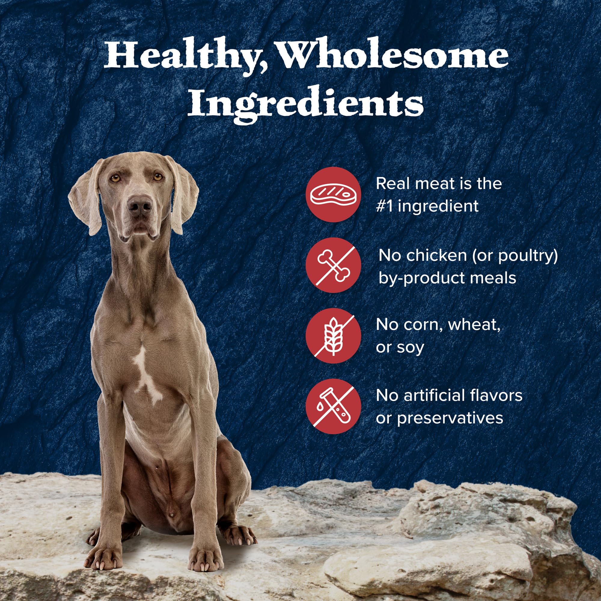Blue Buffalo Wilderness: sin maíz, fórmula sin gluten para perros sensibles.