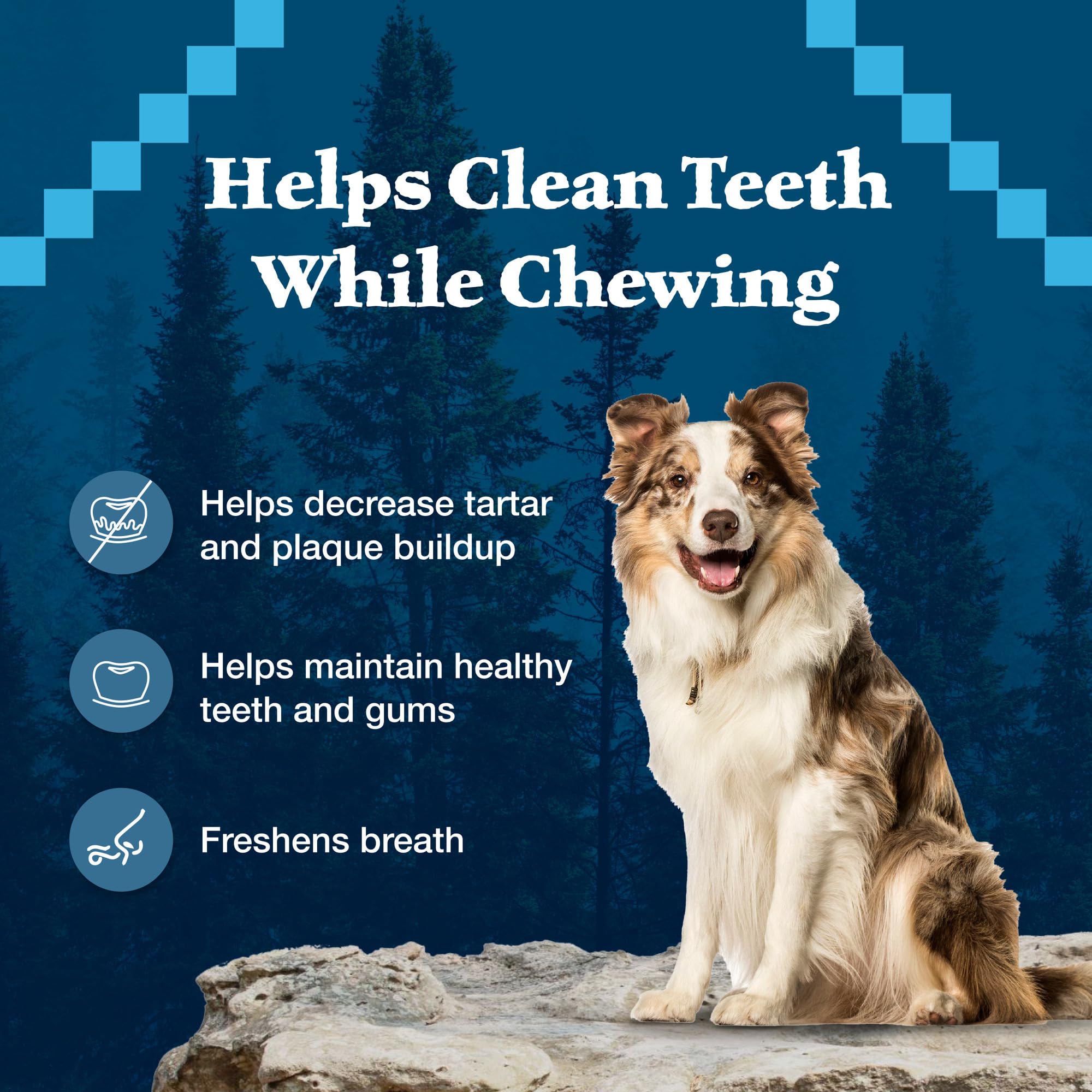 Blue Buffalo Wilderness sin conservantes artificiales para perros.