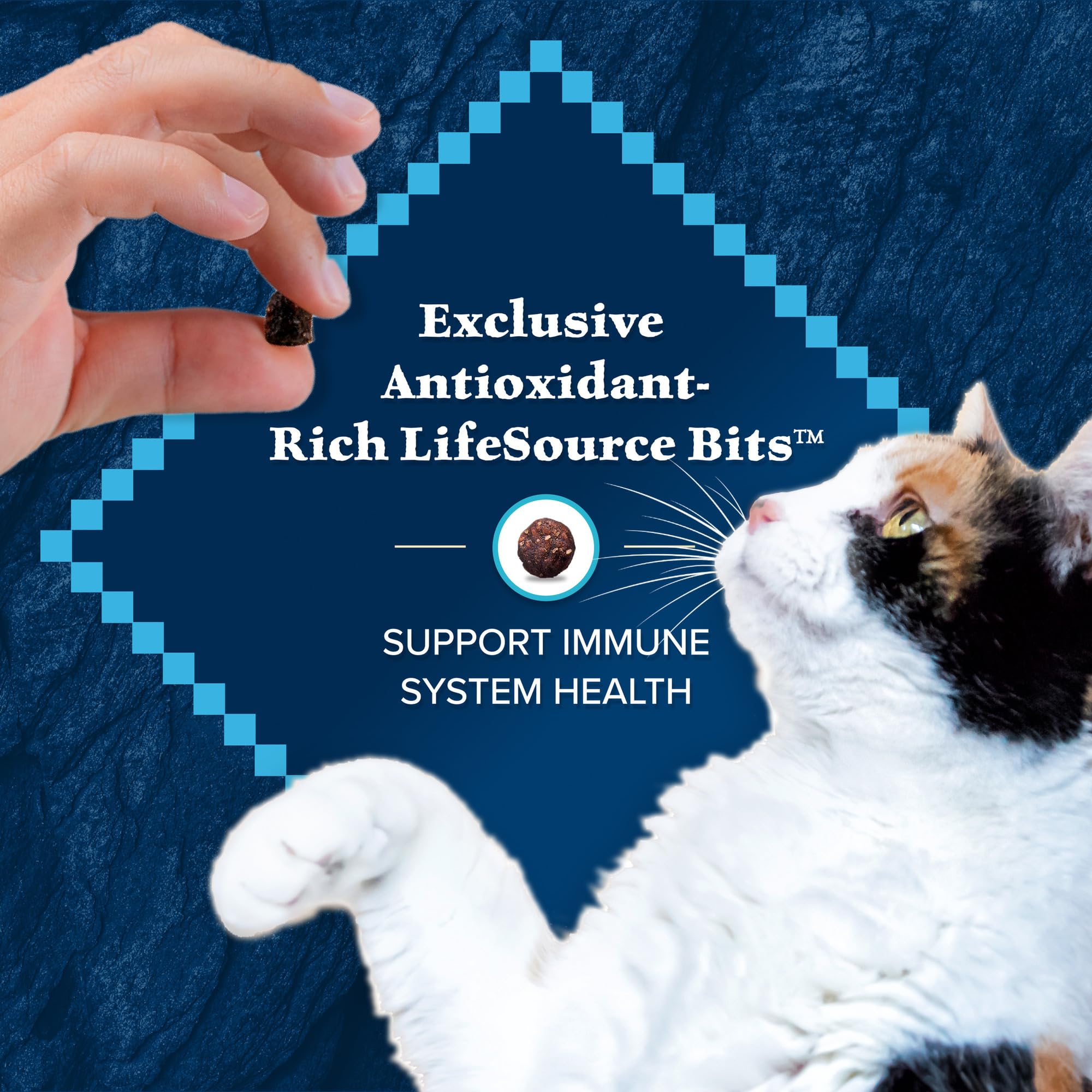 Blue Buffalo Wilderness crocancia agradable para la rutina de tu gato.