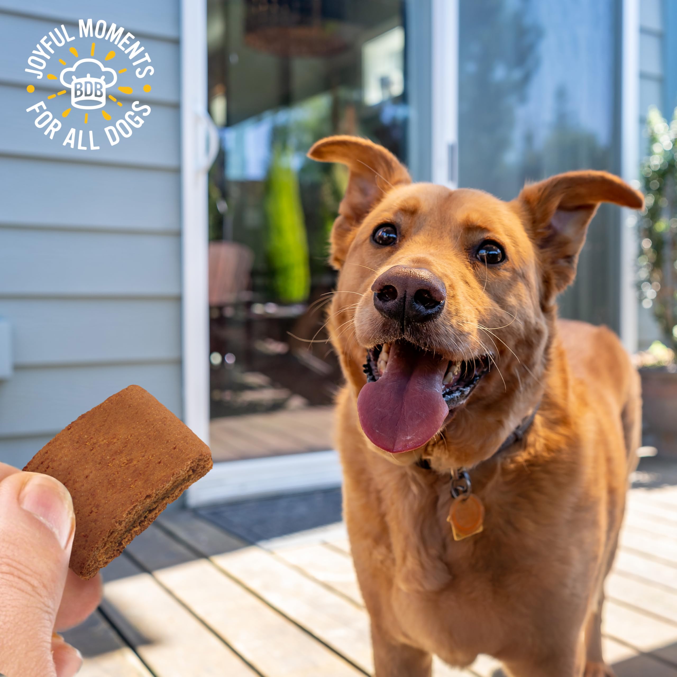 Blue Dog Bakery Pun’Kin Softies detalle de sabor a calabaza en cada mordisco.