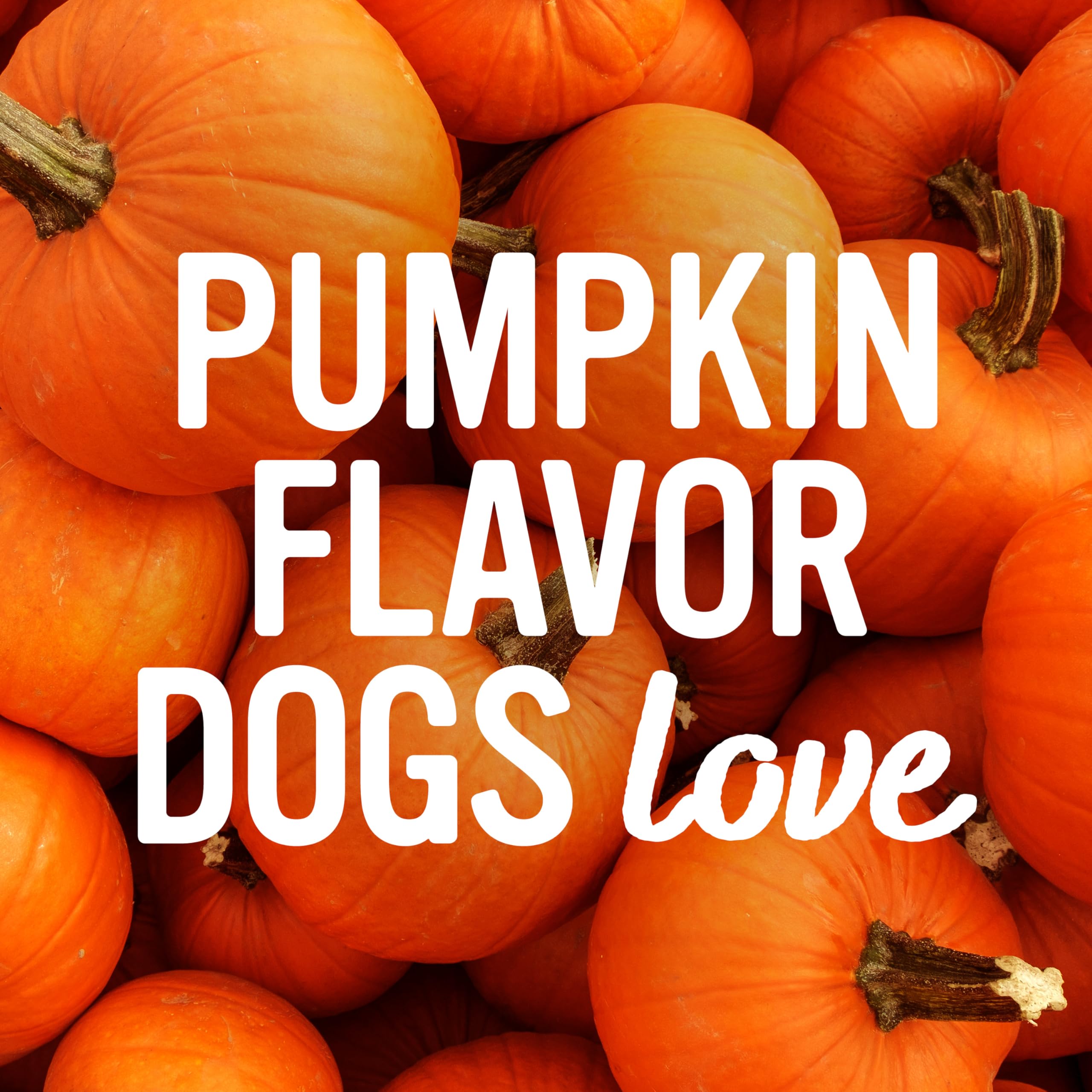 Blue Dog Bakery Pun’Kin Softies hechos en EE.UU., garantía de calidad.