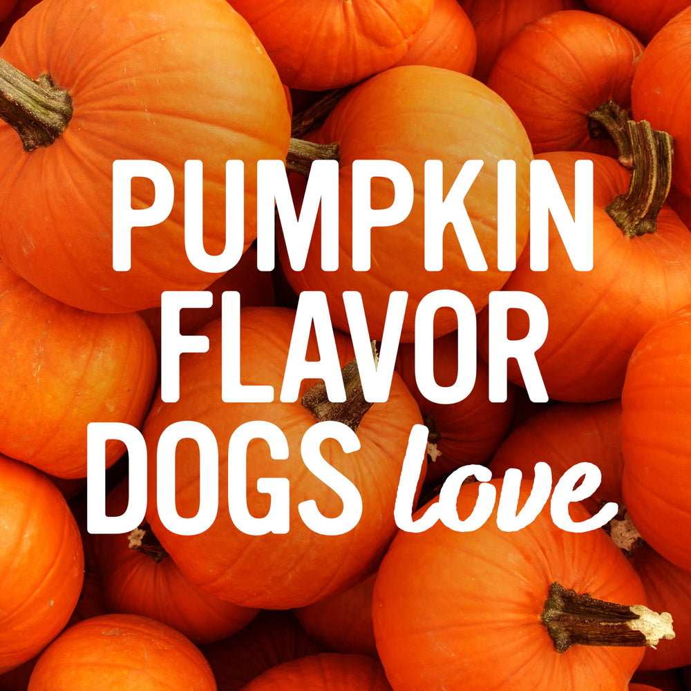 Blue Dog Bakery Pun’Kin Softies hechos en EE.UU., garantía de calidad.