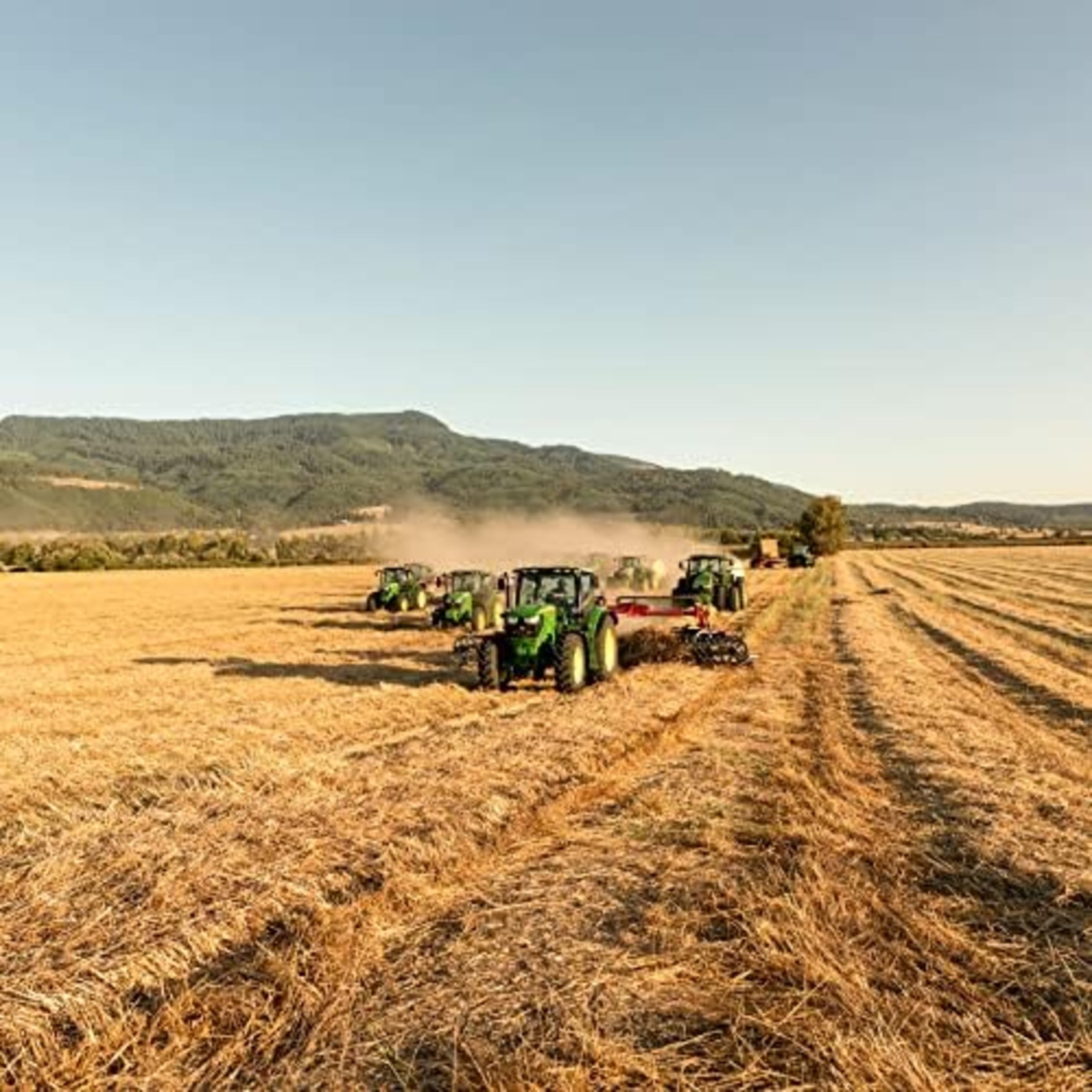 Blue Mountain Hay bajo desperdicio: menos residuos durante la alimentación.