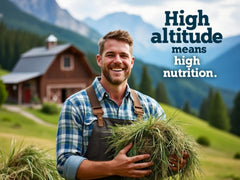 Blue Mountain Hay bolsa 10 lb: conveniencia para suministro regular.