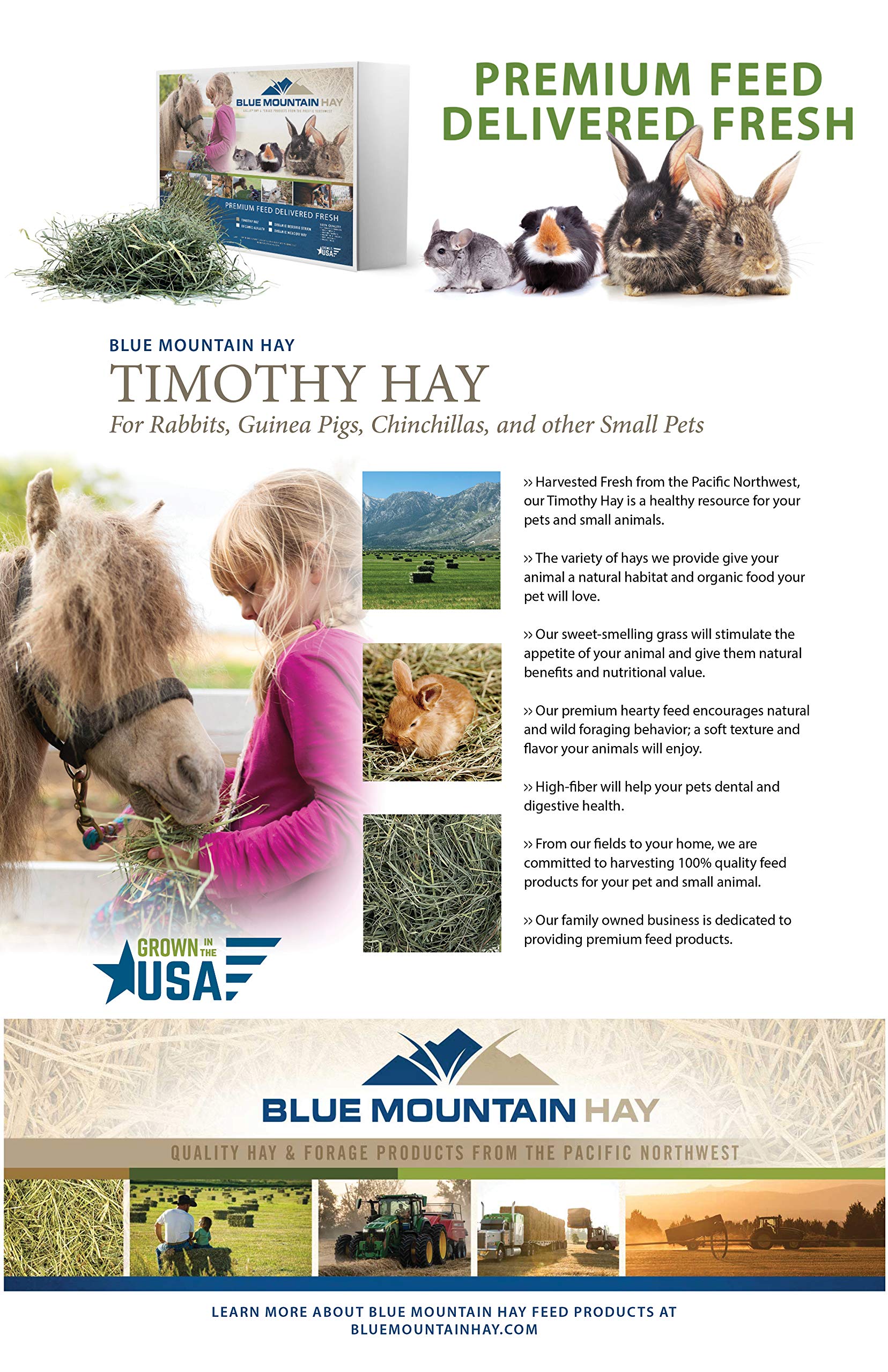 Blue Mountain Hay apoyo suave al desgaste dental y rutina de masticación.