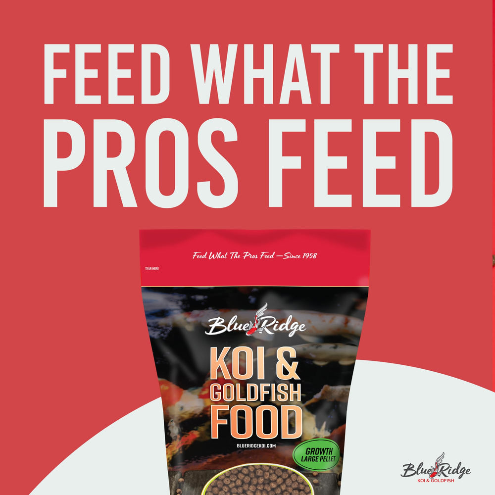 Blue Ridge Goldfish: alimento flotante 2lb para goldfish sanos y activos