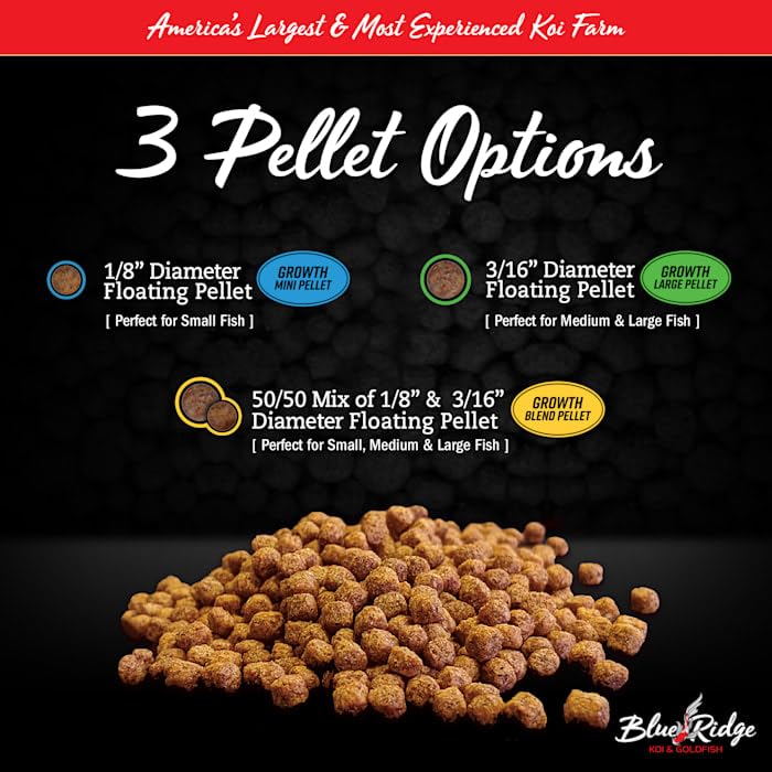 Alimento flotante Blue Ridge Koi facilita digestión y mantiene el agua clara