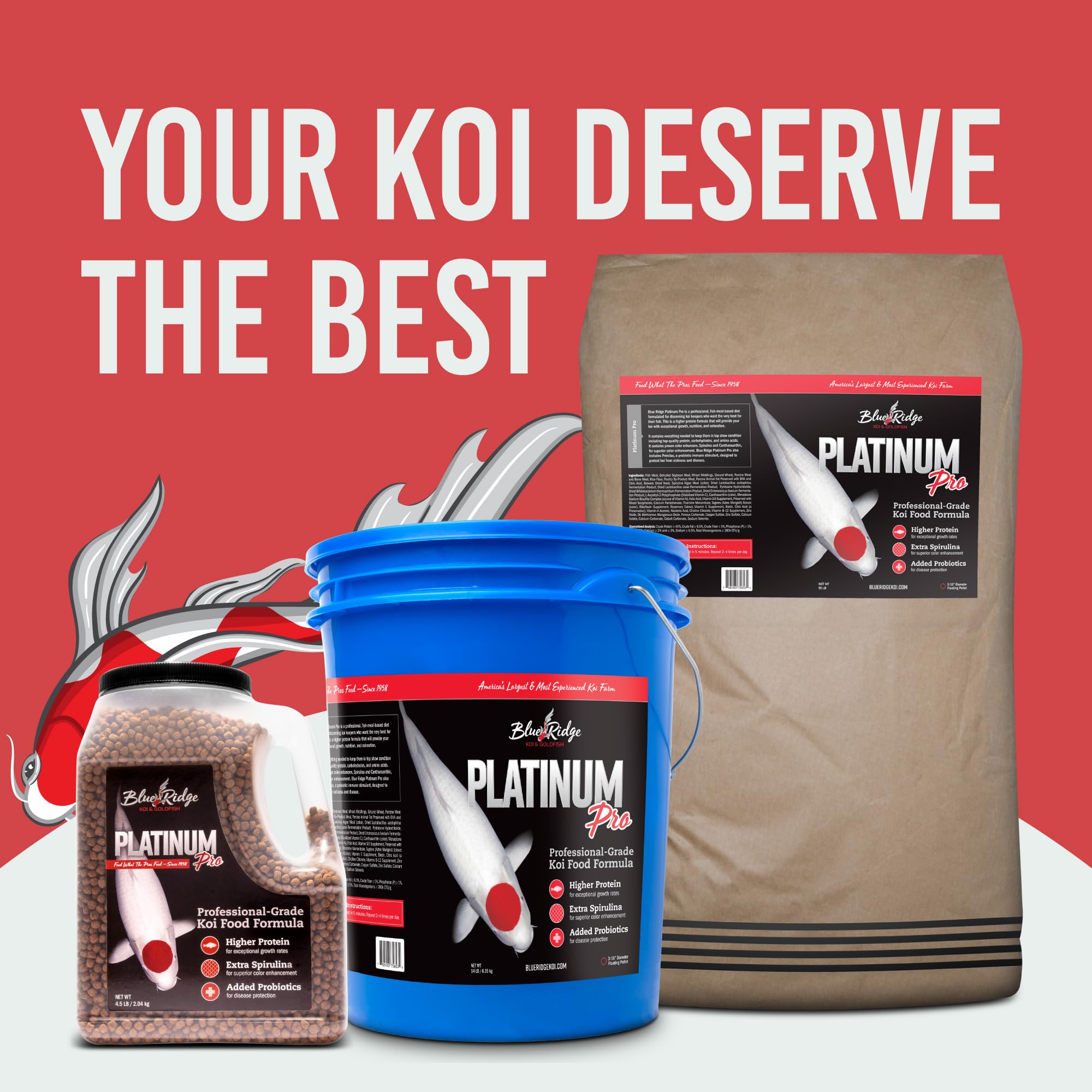 Blue Ridge Koi Alimento: estanque saludable gracias a la fórmula