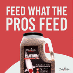 Blue Ridge Koi Alimento: probiótico para inmunidad de koi