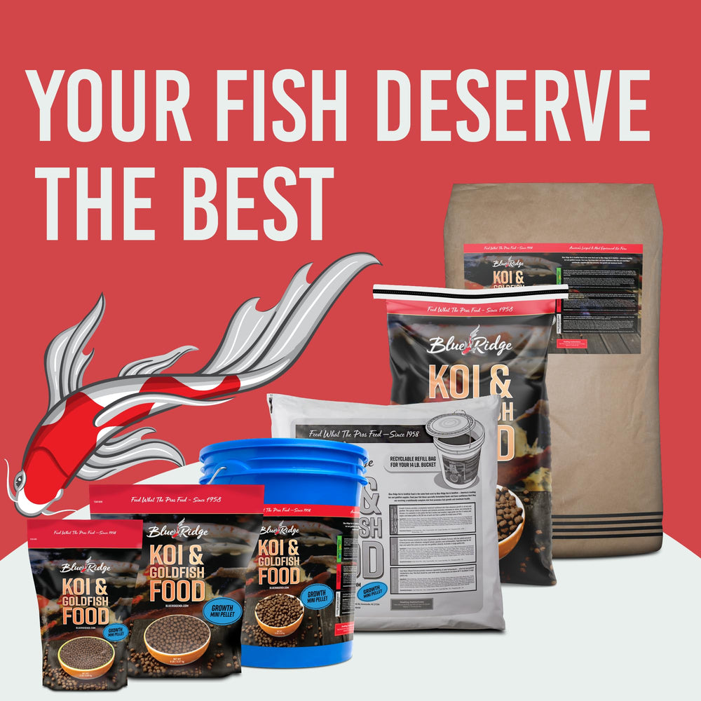 Blue Ridge Koi Alimento: pellets que se ablandan para digestión fácil