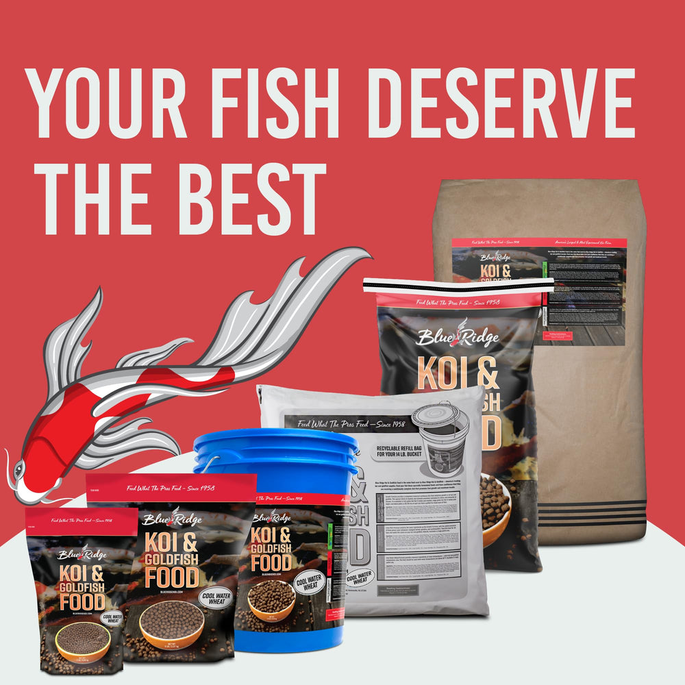 Alimento para koi y pez dorado con Blue Ridge