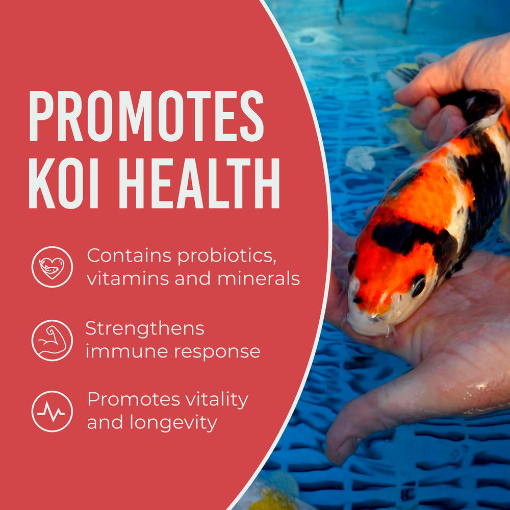 Blue Ridge Koi alimento apto para uso anual en estanques.