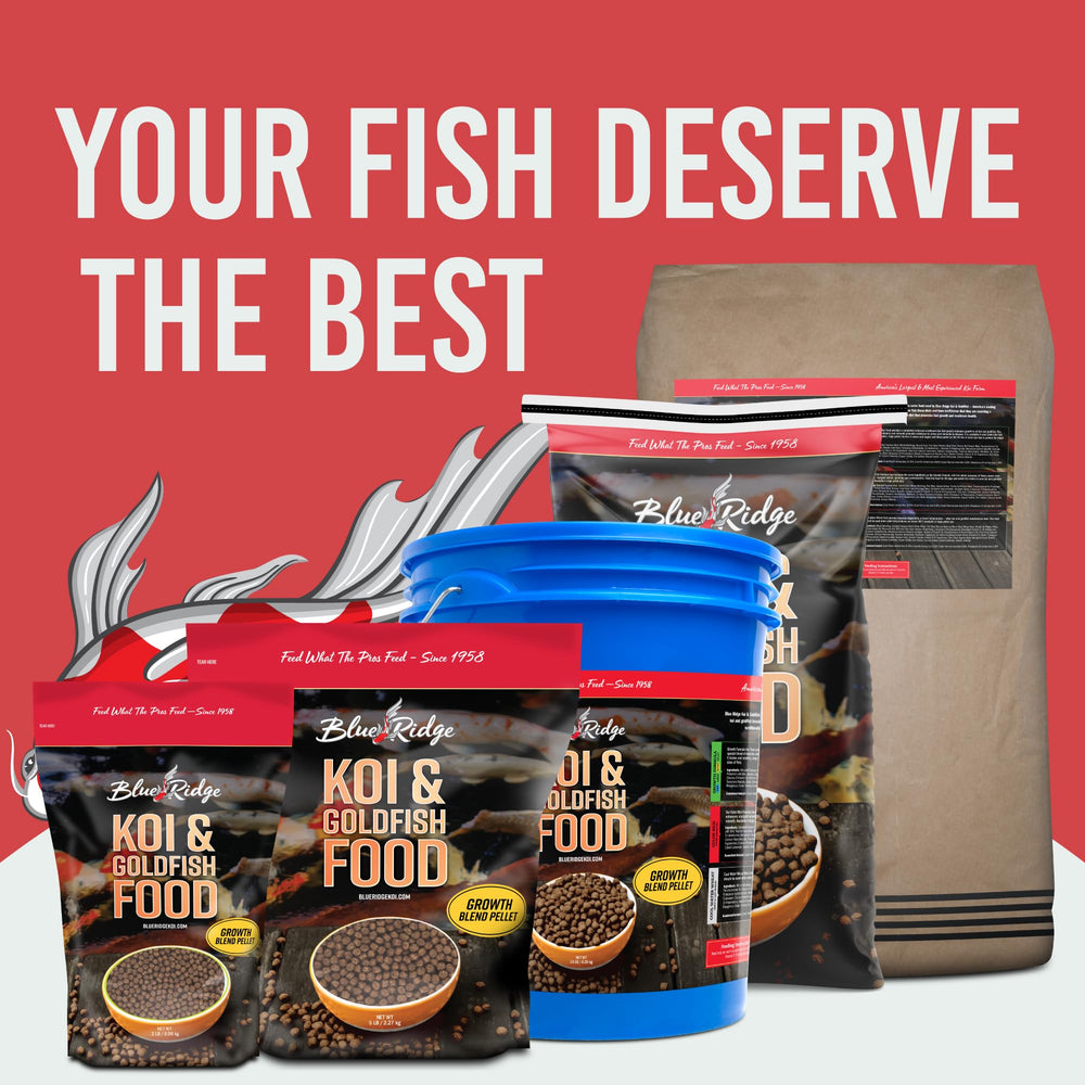 Blue Ridge Koi Food: fórmula balanceada para mantener el agua limpia.