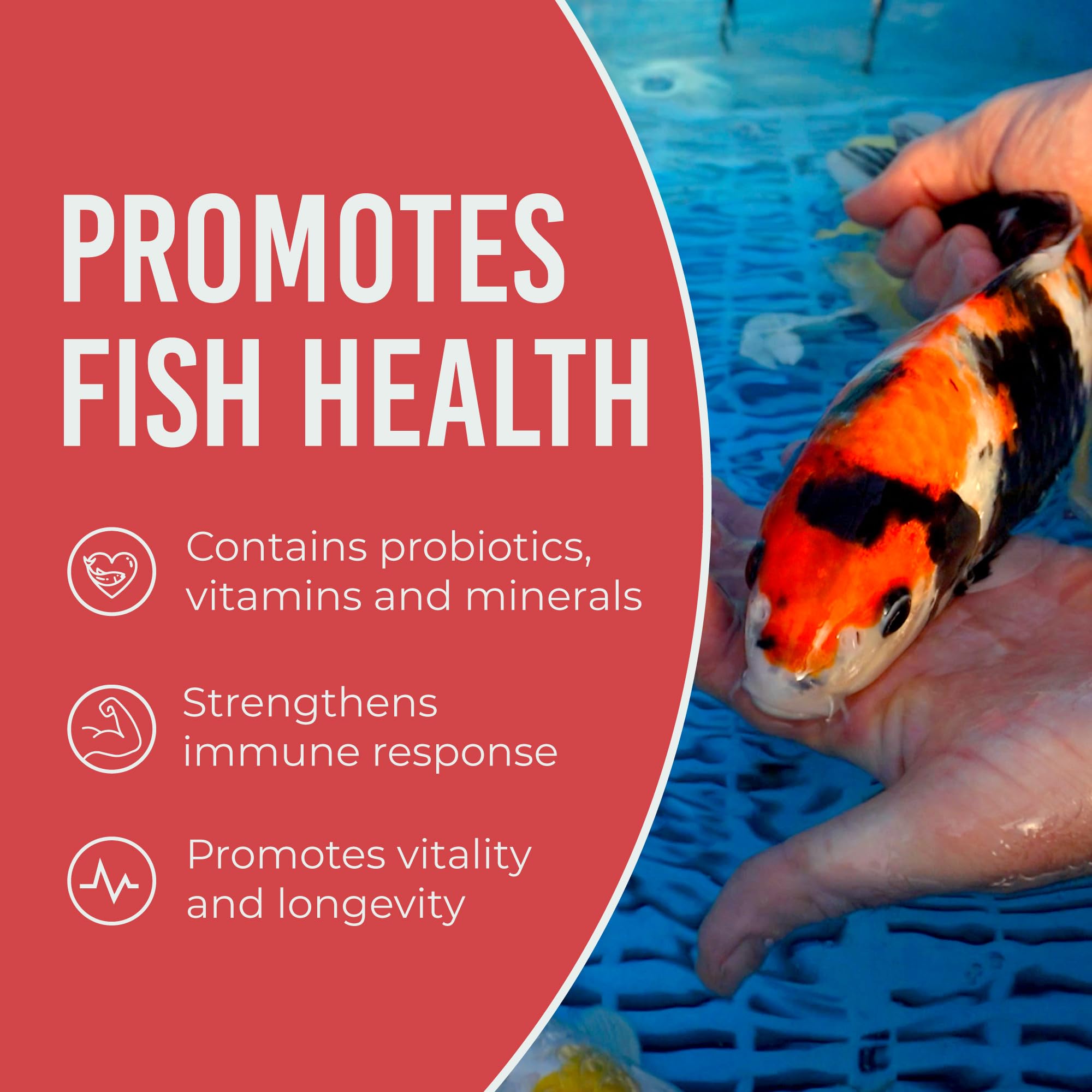 Blue Ridge kois inmunidad pellet flotante: balance de minerales y vitaminas.