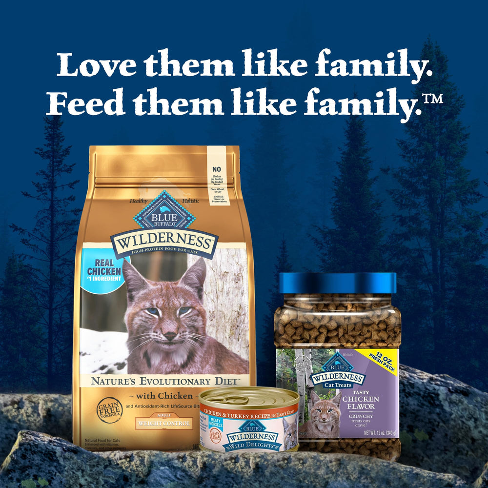 Blue Wilderness sin conservantes artificiales para una comida más natural