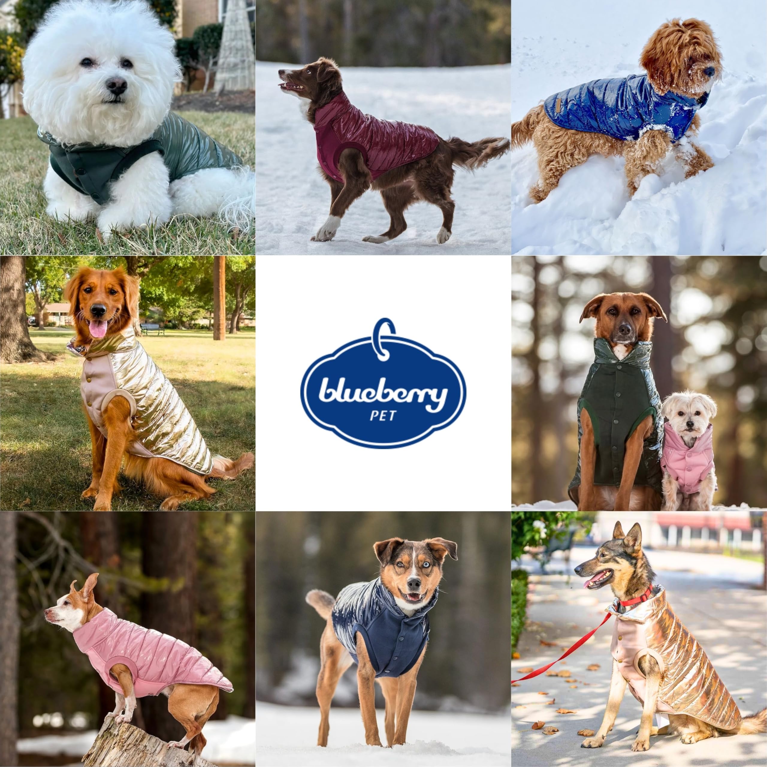 Blueberry Pet chaqueta para perro, cierre de botones para vestir fácilmente