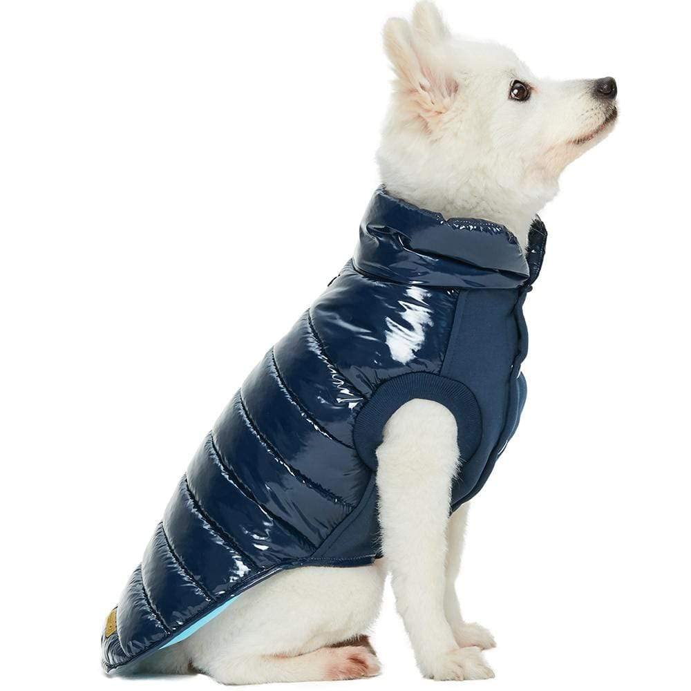Blueberry Pet chaqueta para perro, hueco para correa con cremallera para paseos sin esfuerzo