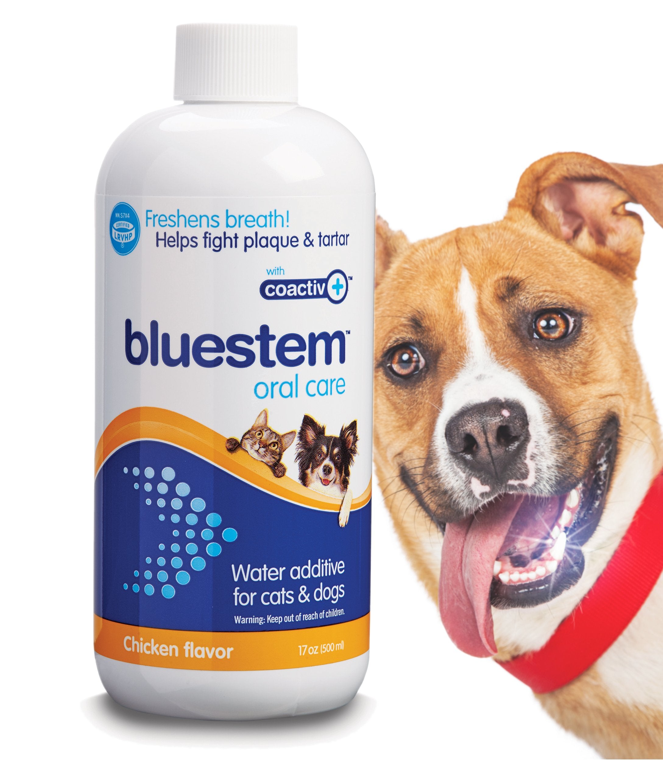 Bluestem Freshens en botella para agua dental, promueve aliento más fresco.