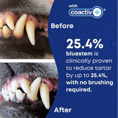 Bluestem Freshens, etiqueta del producto, guía uso diario para perros y gatos.