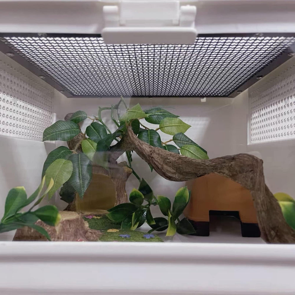 BNOSDM Branche décor-terarium unique pour enrichir l’habitat.