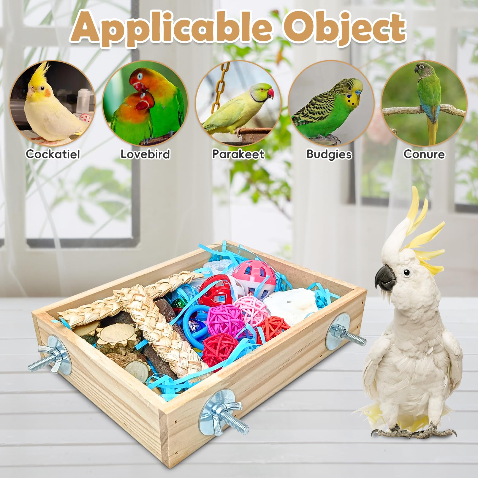 BNOSDM caja-forraje-jaula-aves exploracion y entretenimiento diario
