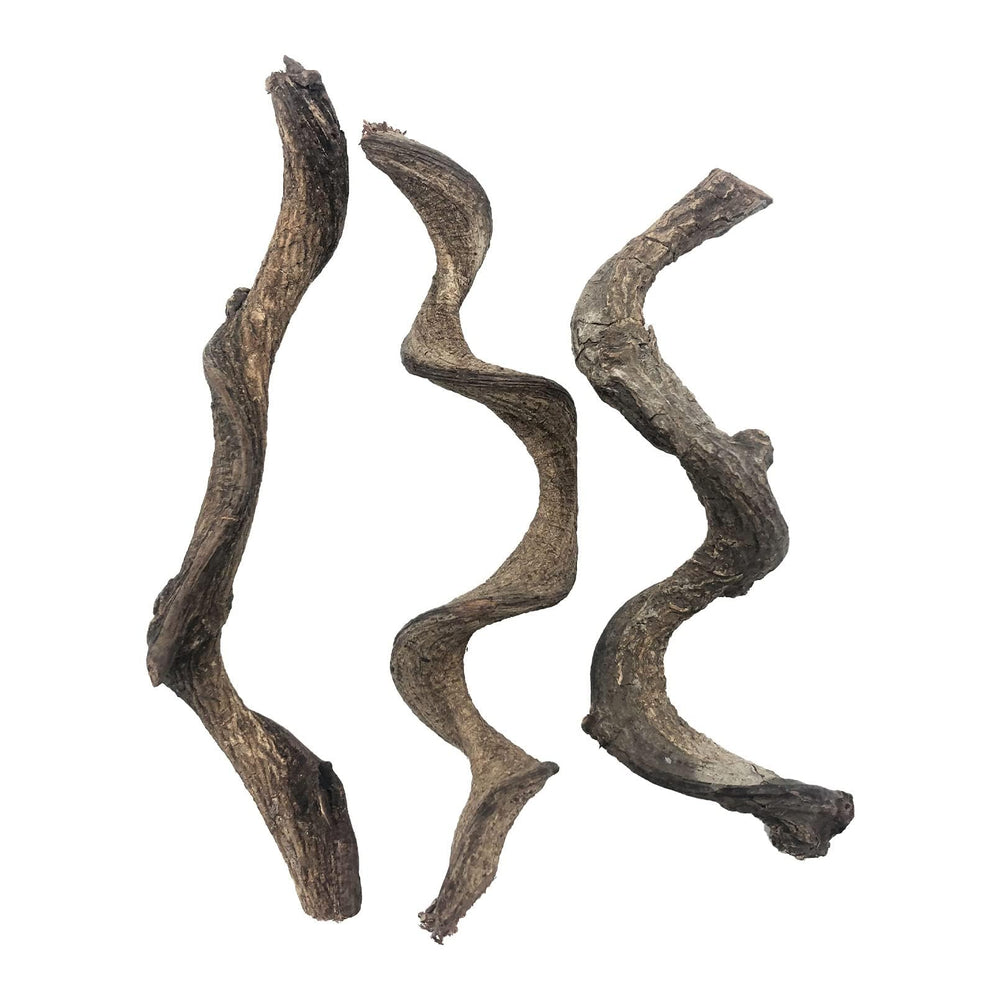 BNOSDM Déco reptile branche forêt naturelle, ensemble 3 pièces, idéale pour l’escalade.