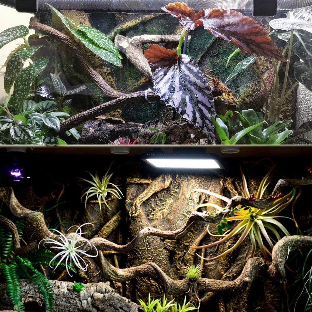 BNOSDM Ramas para terrario, diseño de encaje que maximiza superficies de exploración.