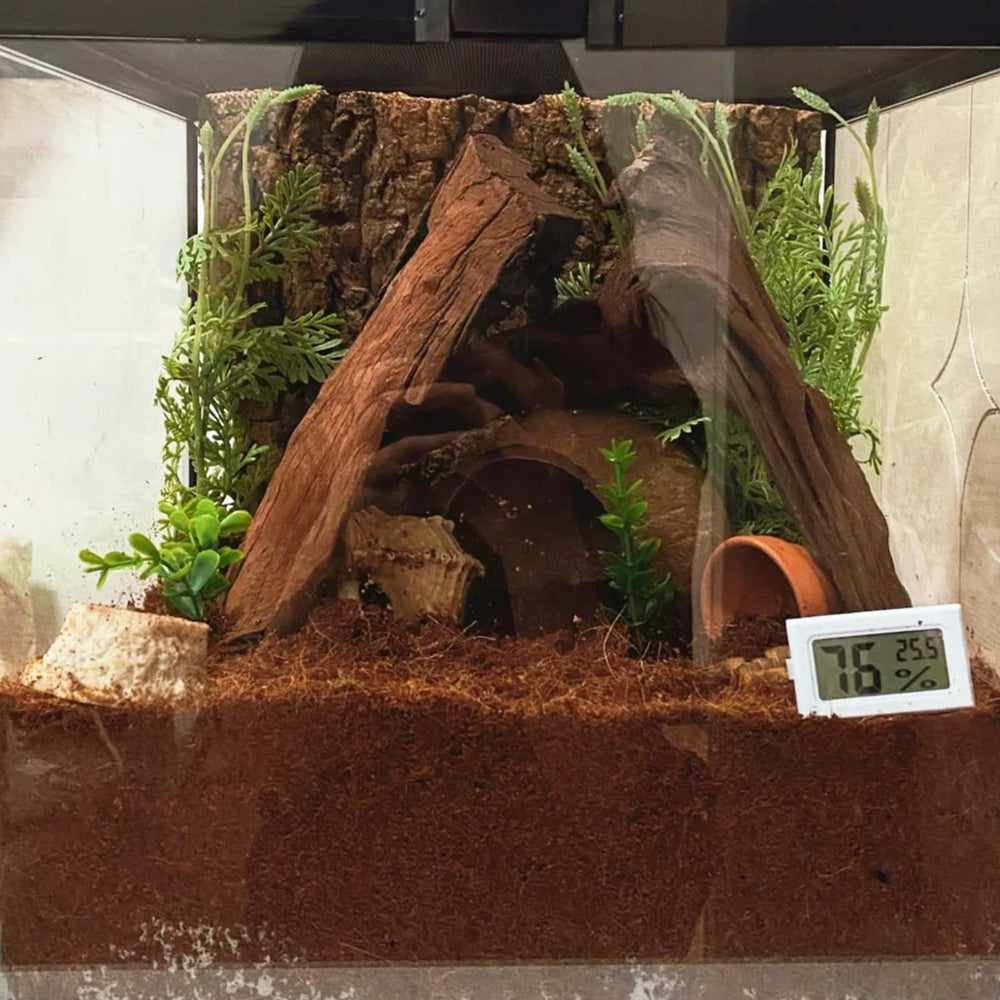 BNOSDM sustrato para cama de terrario, práctico y versátil para especies diversas.