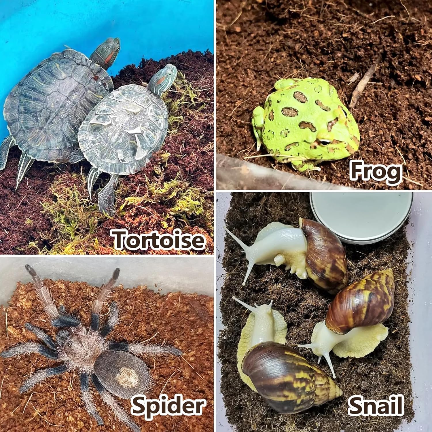 BNOSDM sustrato reptil facilita limpieza y cambios