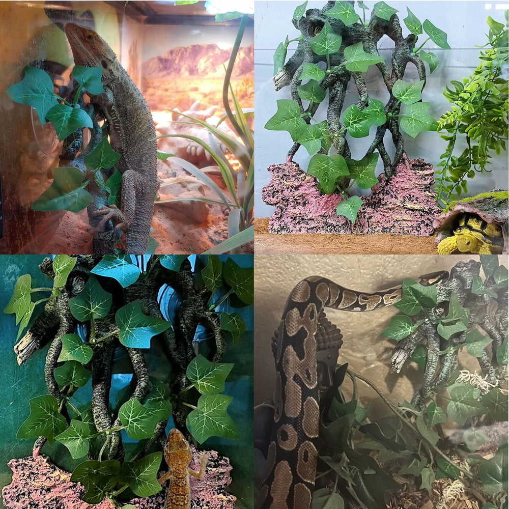 BNOSDM uso múltiple para reptiles: trepar y esconderse