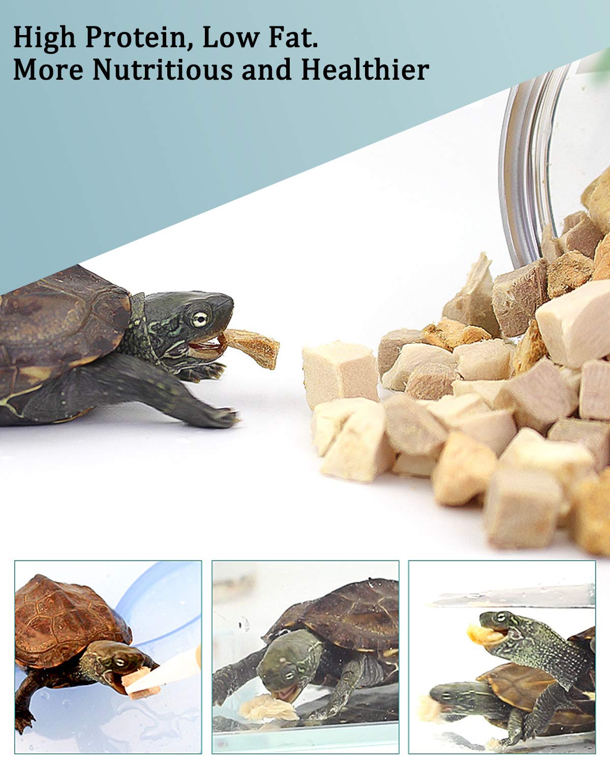 BNYEE 3-in-1 Turtle Food label highlights no added preservatives and natural ingredients.