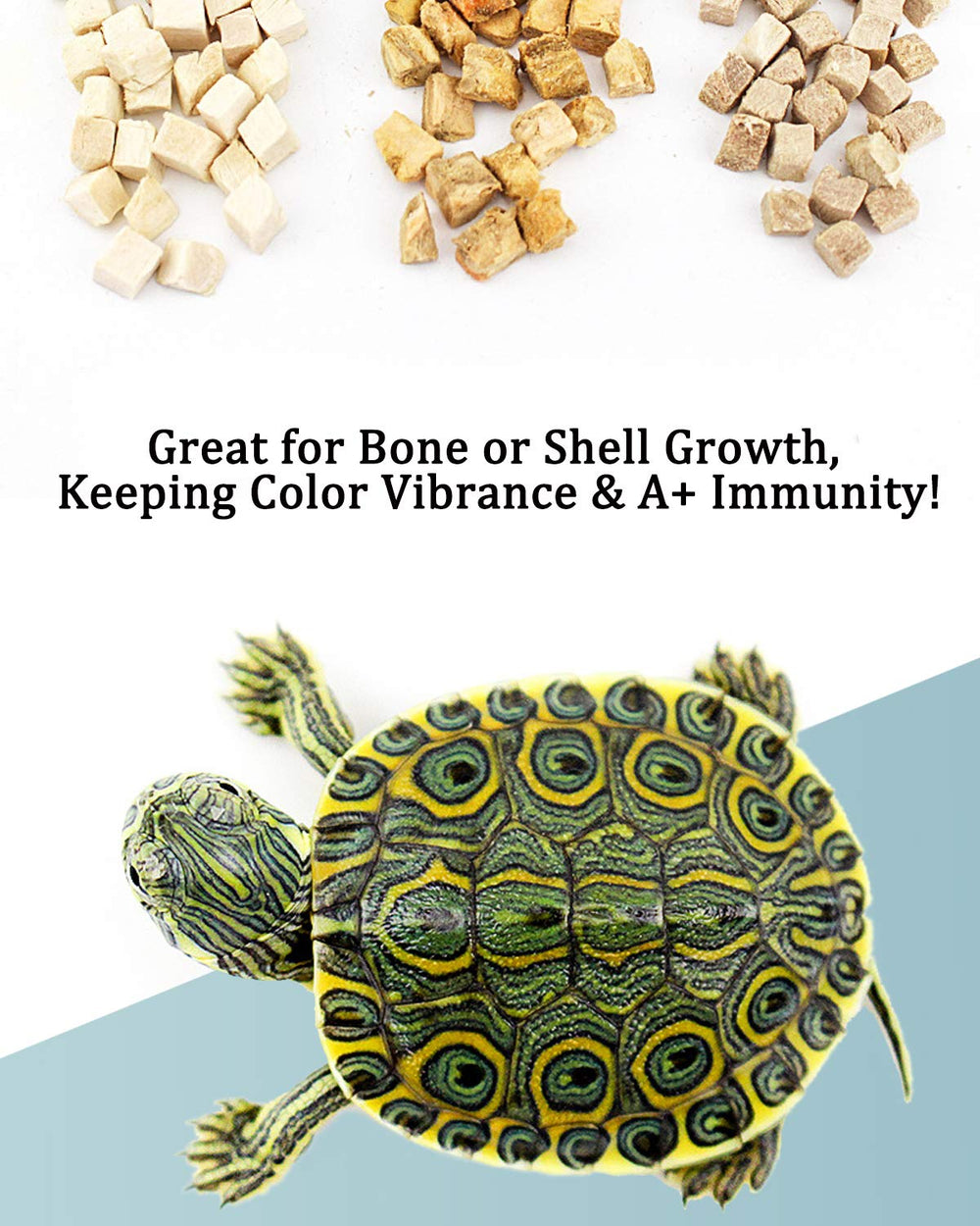 BNYEE 3-in-1 Turtle Food prep with water shows softening for gentle feeding.