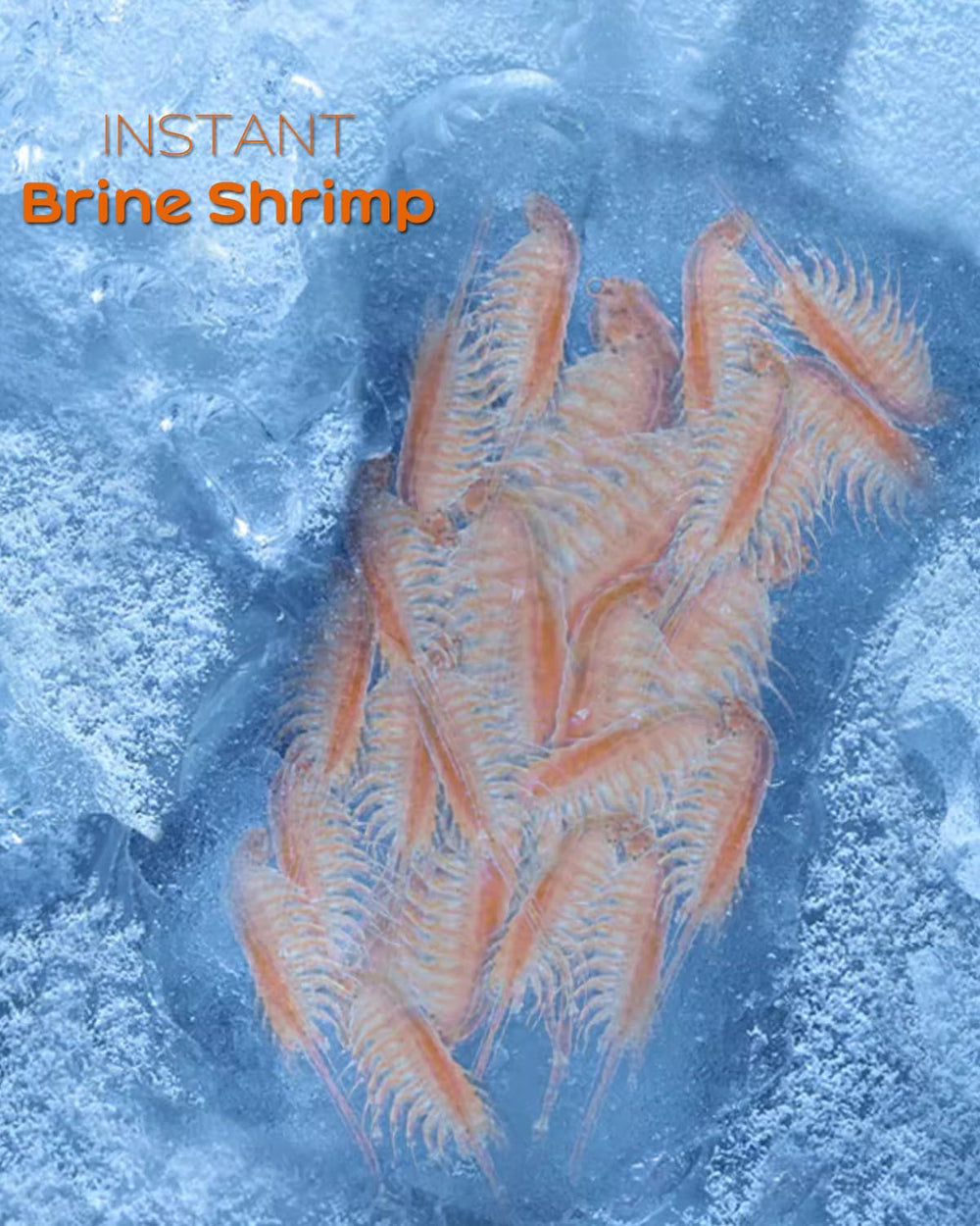 BNYEE Alimento Instantáneo Artemias Adultas: ideal para corales e invertebrados