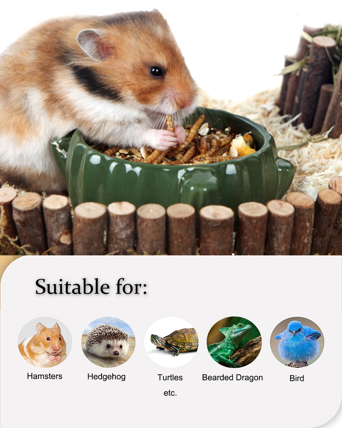 BNYEE alimento seco compatible con múltiples mascotas, desde reptiles hasta aves.