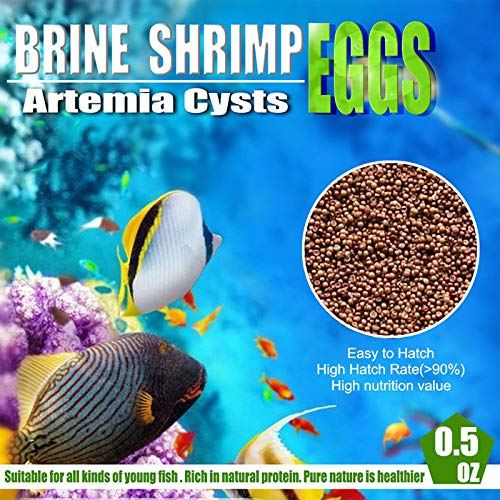 BNYEE Huevos Artemia: alimento vivo para crías y peces pequeños.