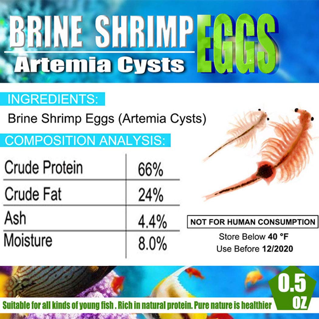 BNYEE Huevos Artemia: envase reutilizable para almacenamiento práctico.