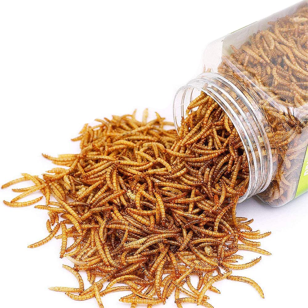 BNYEE larvas secas como alimento para reptiles, práctico y siempre disponible.